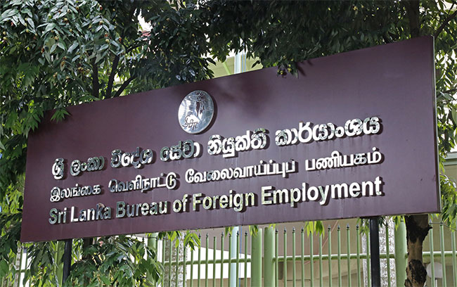 Insurance compensation for death of migrant worker increased