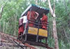 Cable car accident at Na Uyana Monastery: Several injured monks continue to receive treatment