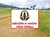 Agricultural Insurance Board disburses Rs. 1,669 mln to farmers