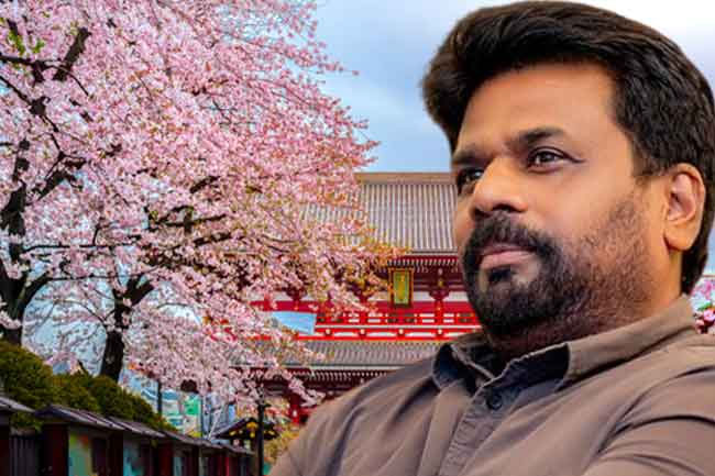 President Anura Kumara to begin official visit to Japan today