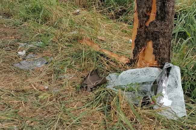 Van carrying pilgrims crashes into tree near Sorabora Wewa; 11 injured