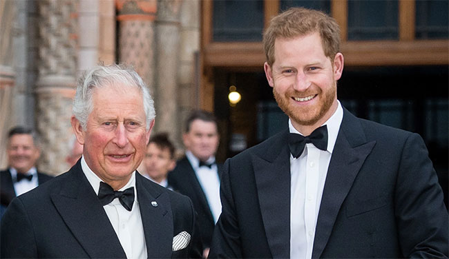 Harry suggests people trying to sabotage reconciliation with King