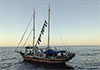 Israeli naval ships intercept Gaza-bound flotilla