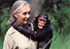 Conservationist Dame Jane Goodall dies aged 91