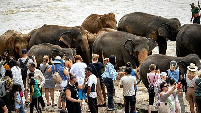 Tourist arrivals in September top 150,000