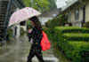 Heavy showers above 75 mm expected in some areas today