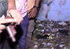 Weapons found hidden in abandoned house in Dematagoda  Weapons found hidden in abandoned house in Dematagoda