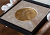 Three scientists get Nobel Prize in Medicine for discovery of peripheral immune tolerance Three scientists get Nobel Prize in Medicine for discovery of peripheral immune tolerance