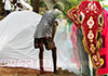 Tusker ‘Manika’ of Bellanwila Temple passes away Tusker ‘Manika’ of Bellanwila Temple passes away