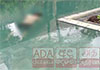 5-year-old child drowns in swimming pool during training activity