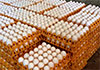 Egg prices to drop by Rs. 10 