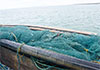45 arrested by Navy for engaging in illegal fishing activities