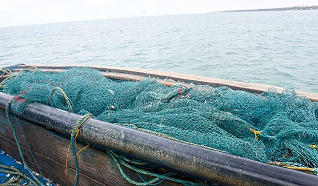 45 arrested by Navy for engaging in illegal fishing activities