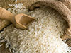Cabinet approval to import Ponni Samba rice due to Keeri Samba shortage