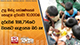 උග්‍ර මන්ද පෝෂණයෙන් පෙළෙන දරුවෝ 10,000ක්