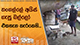 තංගල්ලේ අයිස් ගැසූ බල්ලෝ එකතැන කැරකෙති...