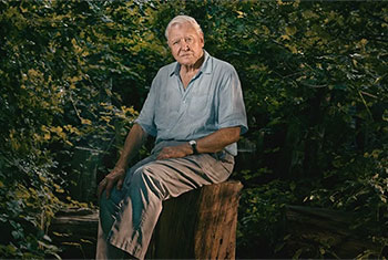 David Attenborough, 99, breaks record as oldest Daytime Emmy winner