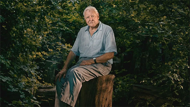 David Attenborough, 99, breaks record as oldest Daytime Emmy winner