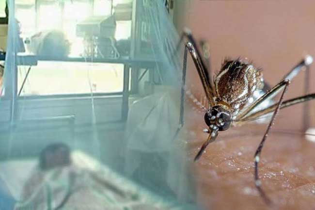 Sri Lanka reports 35 malaria cases so far this year