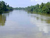 Irrigation Dept. warns of flood risks as reservoir levels rise across the country