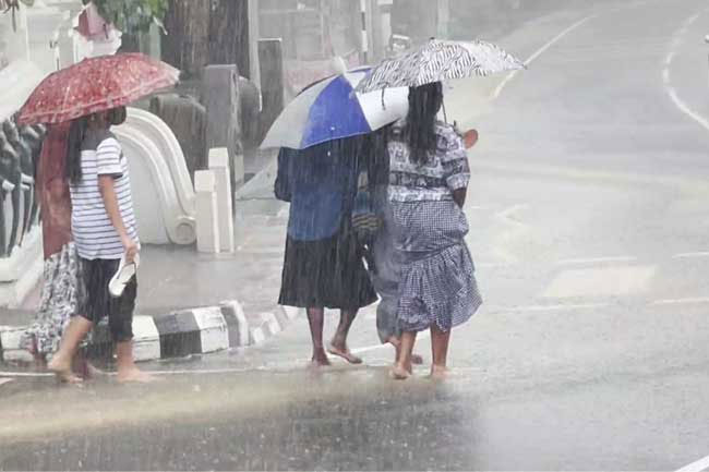 Heavy showers above 100 mm expected in several areas today