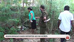 Over 40,000 dengue cases  reported in Sri Lanka so far this year (English)