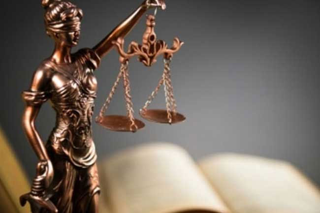 Ayurvedic spa owners file petition seeking legalization of treatment centers