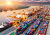 Sri Lankas export earnings surge to nearly USD 13B in first 9 months of 2025