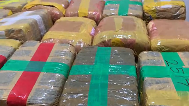 Man arrested with over 196kg of Kerala cannabis in Dompe