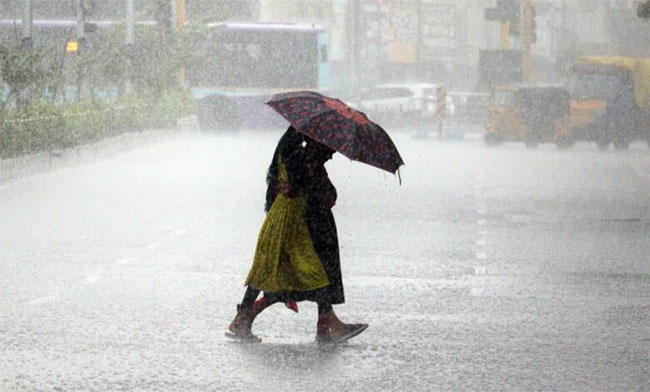 India evacuates tens of thousands as cyclone Montha gains strength India evacuates tens of thousands as cyclone Montha gains strength