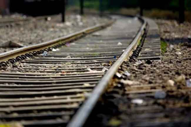 Wild elephant killed after collision with freight train between Galgamuwa and Ambanpola