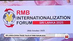 Chinese envoy on how expanding RMB cooperation can help Sri Lanka's economic recovery (English)