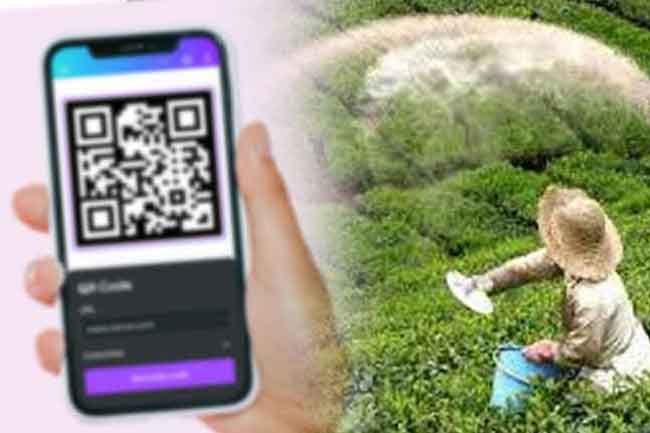 Ministry reports strong progress in QR-based tea fertilizer distribution