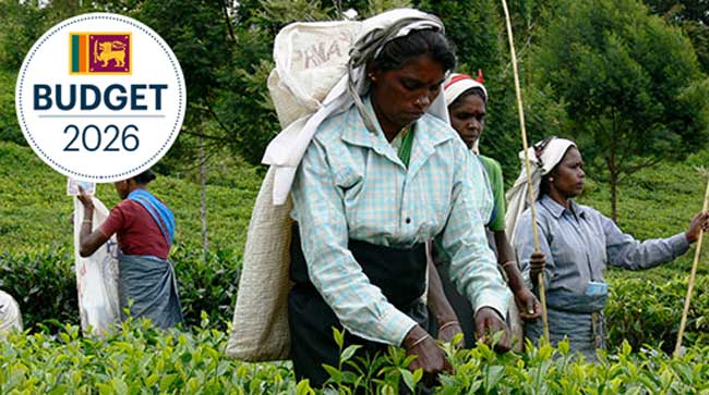 Daily wage of estate workers to increase from Rs. 1,350 to Rs. 1,550, Rs. 200 attendance allowance proposed