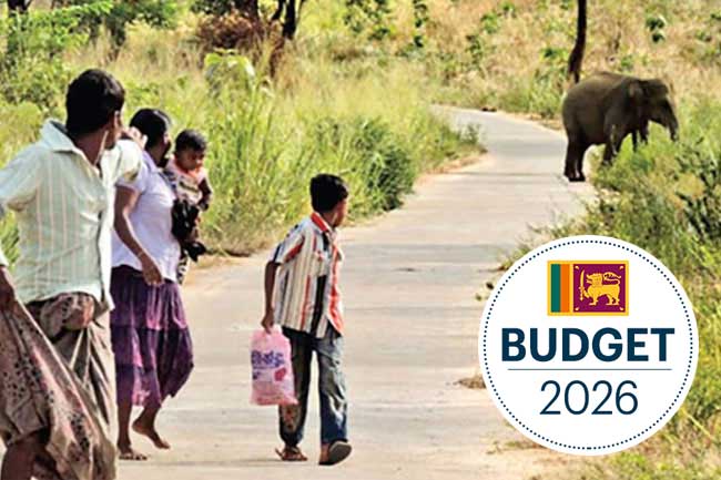 Rs. 1 bln allocated to address human-elephant conflict  President