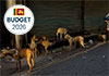 Govt. proposes facilities to care of street dogs and burial of pets in Kesbewa and Piliyandala 