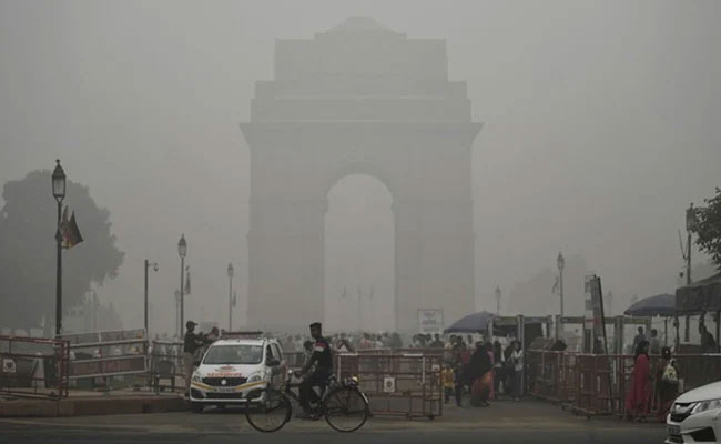 Hundreds turn out for anti-pollution protest in Delhi