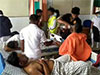 Six students from Ruhuna Uni. hospitalised after wasp attack 