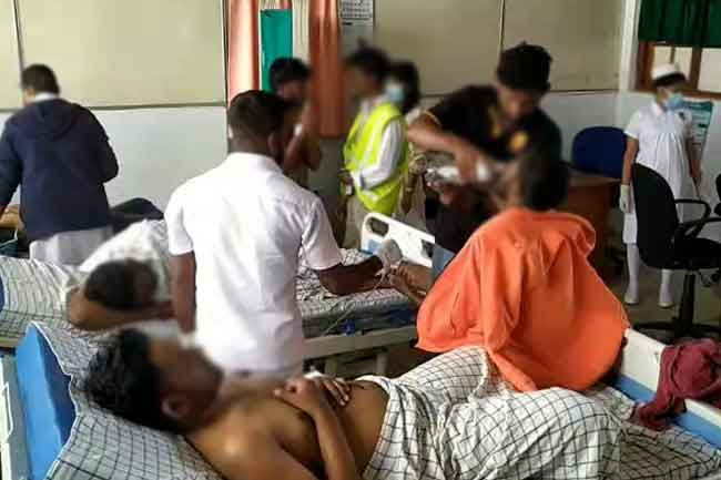 Six students from Ruhuna Uni. hospitalised after wasp attack