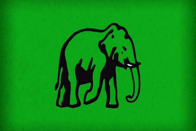 UNP decides to attend Nov. 21 Nugegoda rally