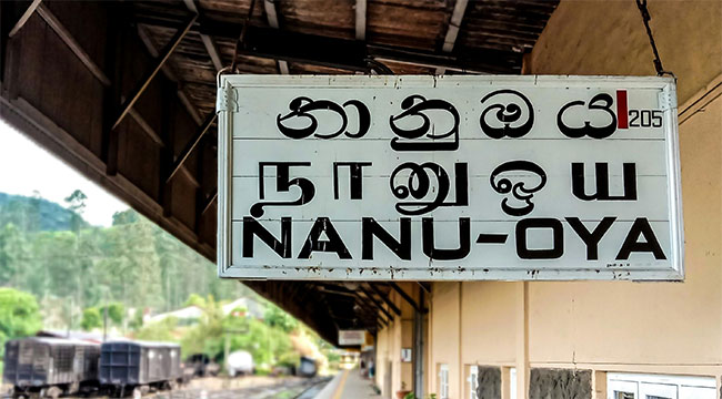 Train services along Upcountry Line restricted to Nanu Oya due to derailment