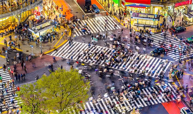 Scientists warn modern city life may harm human health and reproductive functions