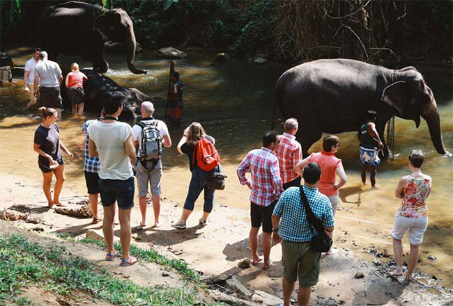 Over 132,000 tourists arrive in November