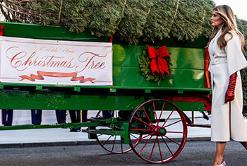 Melania Trump welcomes Christmas tree to the White House