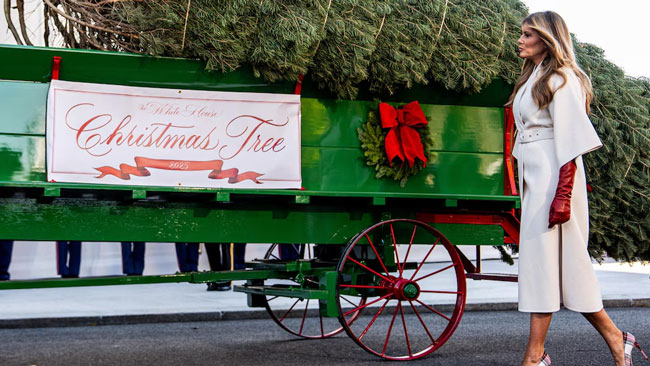 Melania Trump welcomes Christmas tree to the White House