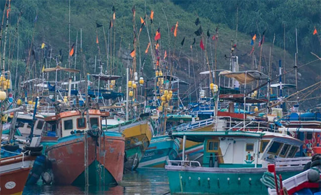 Five fishing trawlers of narcotics dealer Dehi Bale seized by CID