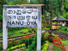Colombo-Badulla trains to terminate at Nanu Oya