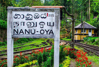 Colombo-Badulla trains to terminate at Nanu Oya