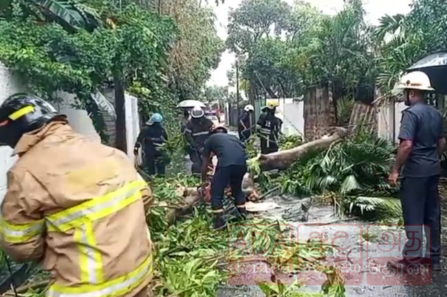 Several roads in Colombo blocked due to adverse weather  Police 