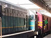 Limited train services to operate only in Western Province today 